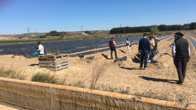 Journée de l’artichaut et de l’asperge